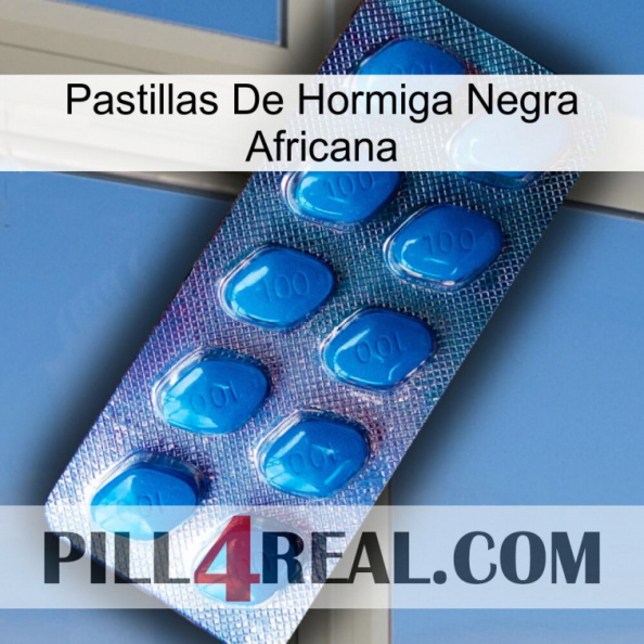 African Black Ant Pills viagra1.jpg